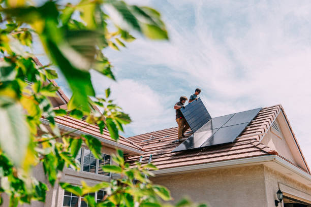 Best Roof Insulation Installation  in Lake Crystal, MN