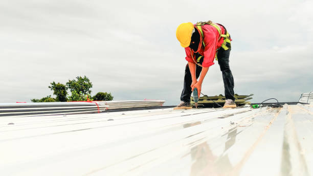 Best Asphalt Shingles Roofing  in Lake Crystal, MN